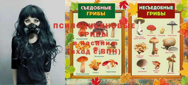 ГАЛЛЮЦИНОГЕННЫЕ ГРИБЫ Алексеевка