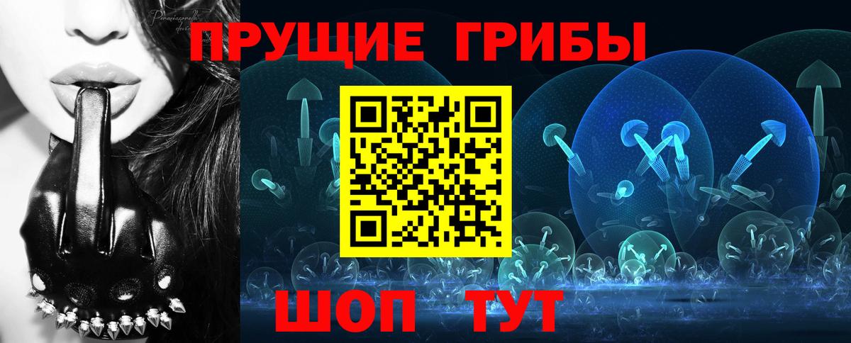 Краснознаменск  Галлюциногенные грибы Magic Shrooms  Вход с VPN 