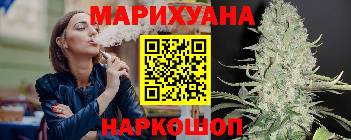 Конопля гибрид Краснознаменск
