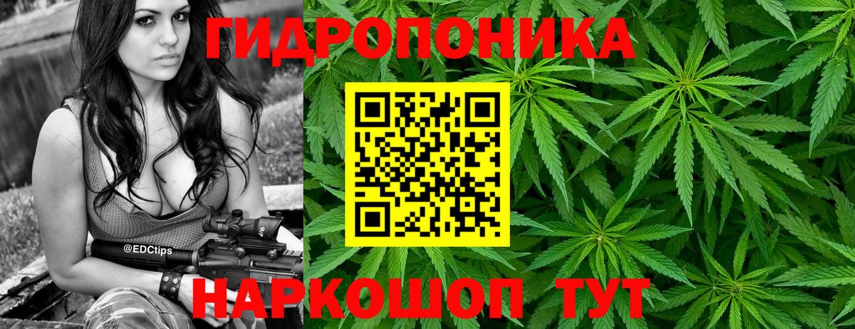 Каннабис гибрид  Вход с VPN  Конопля AK-47  МАРИХУАНА MAZAR  Краснознаменск  МАРИХУАНА тримм 